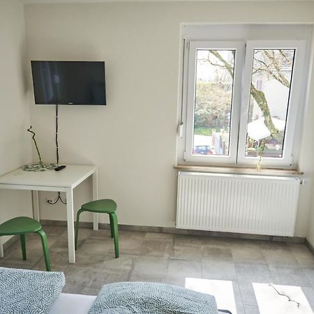 Greenhome Loerrach -Ihre Unterkunft Im 3-Laendereck- Exterior photo