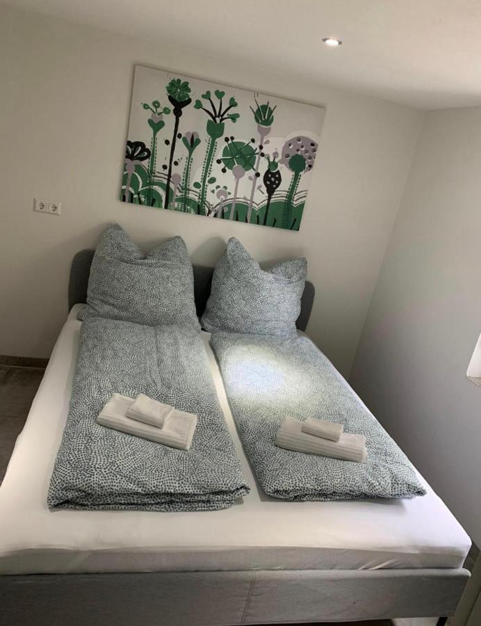 Greenhome Loerrach -Ihre Unterkunft Im 3-Laendereck- Room photo